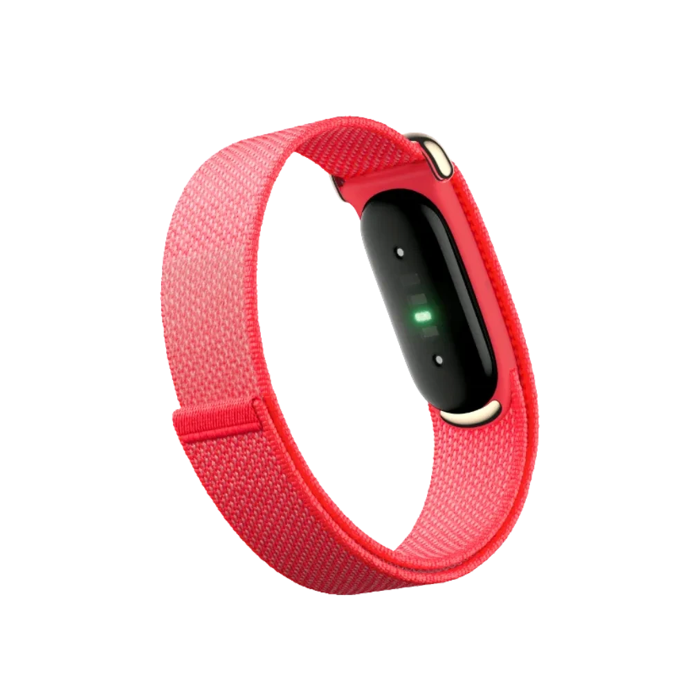 Google Fitbit Air "Berry"