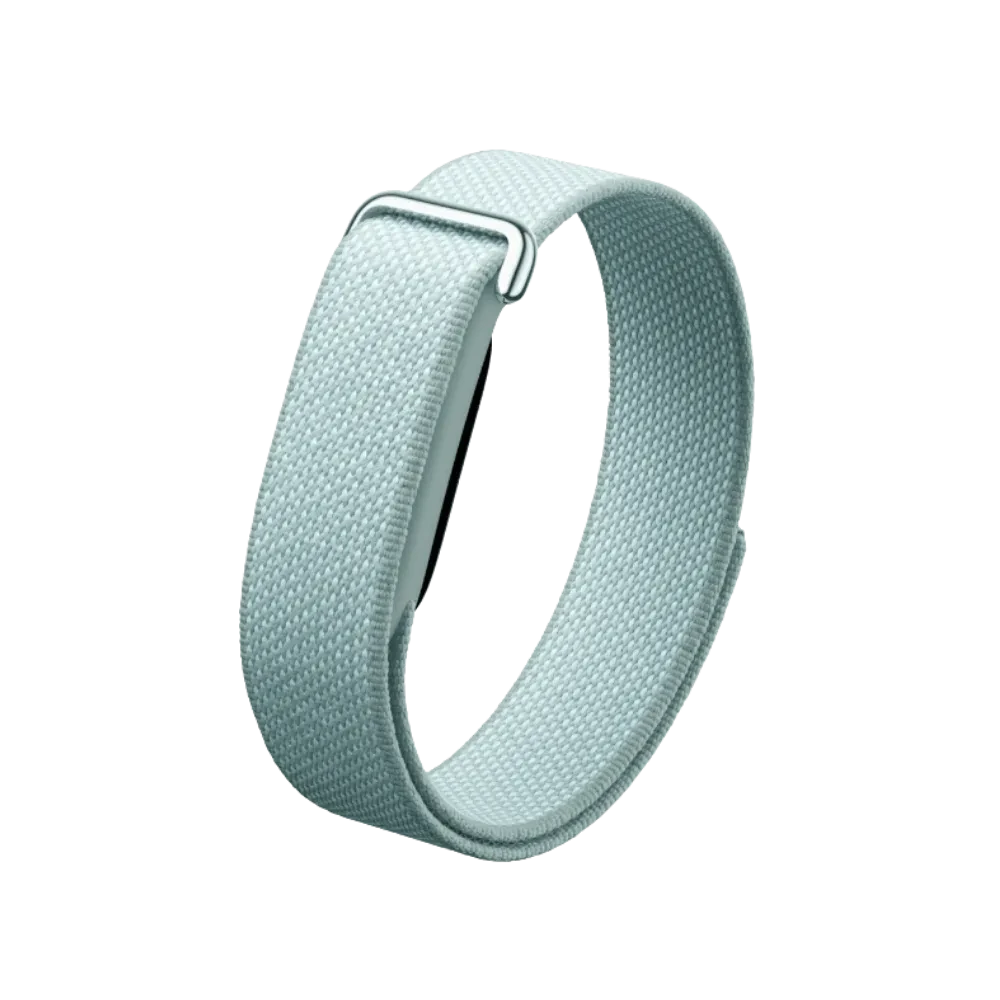 Google Fitbit Air "Fog"