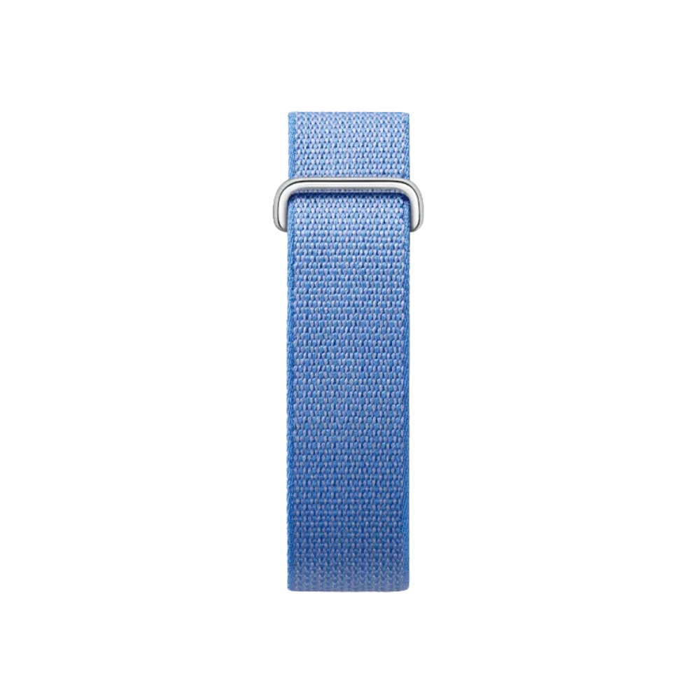 Google Fitbit Air "Lavender"