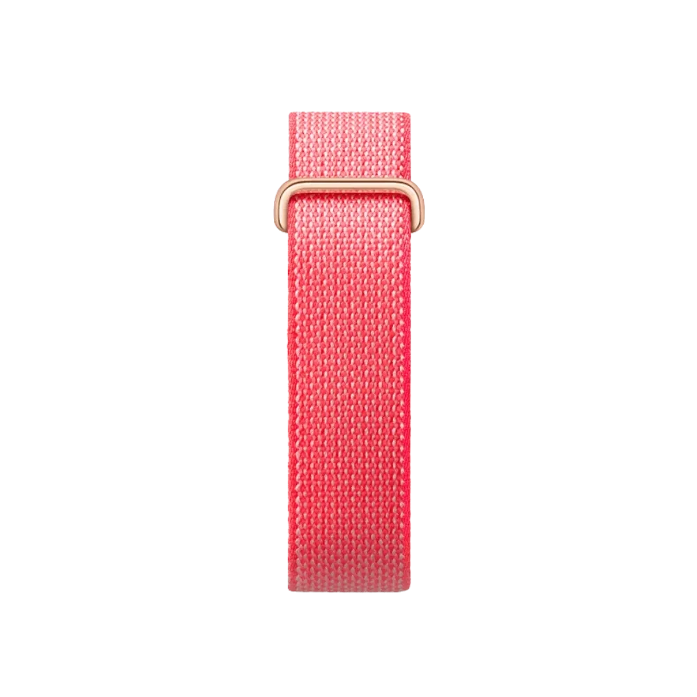 Google Fitbit Air "Berry"