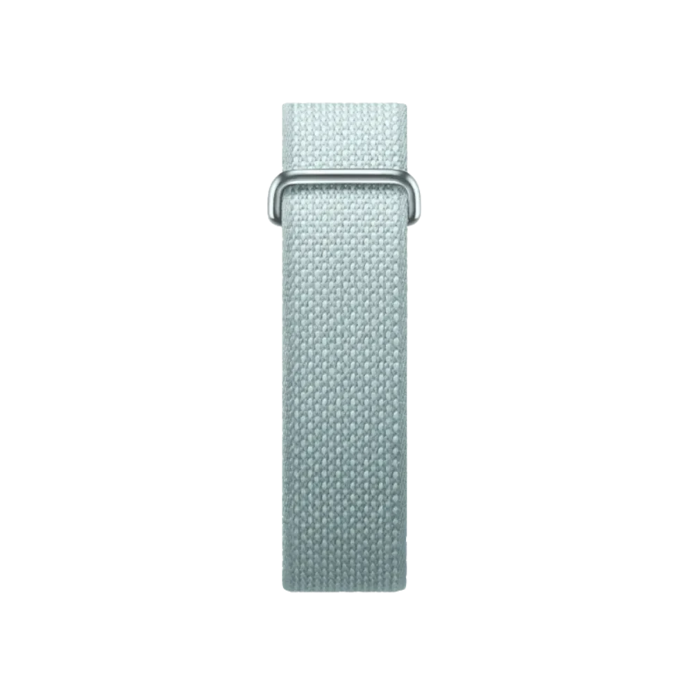 Google Fitbit Air "Fog"
