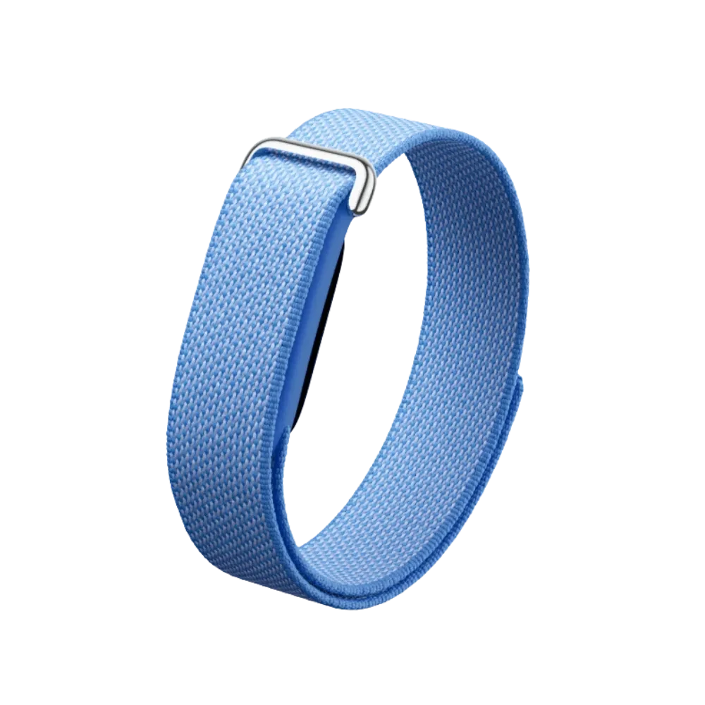 Google Fitbit Air "Lavender"