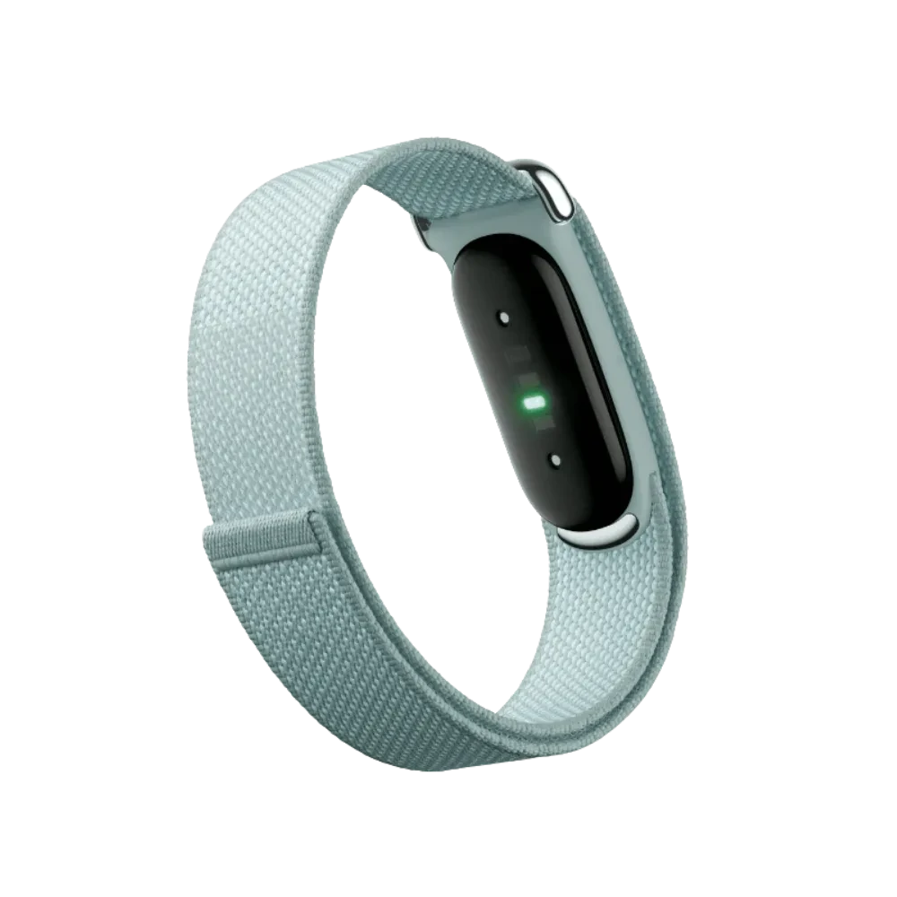 Google Fitbit Air "Fog"