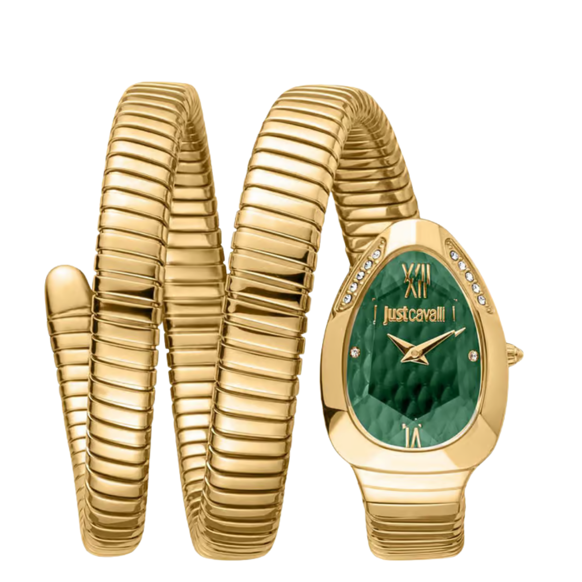 Just Cavalli Jc1l224m0045 Glam Evo 9 Family Watch For Women