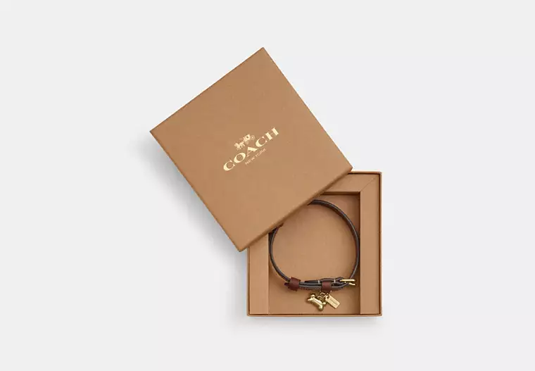 Boxed Small Pet Collar In Signature Canvas signature canvas/Gold/Tan/Brown