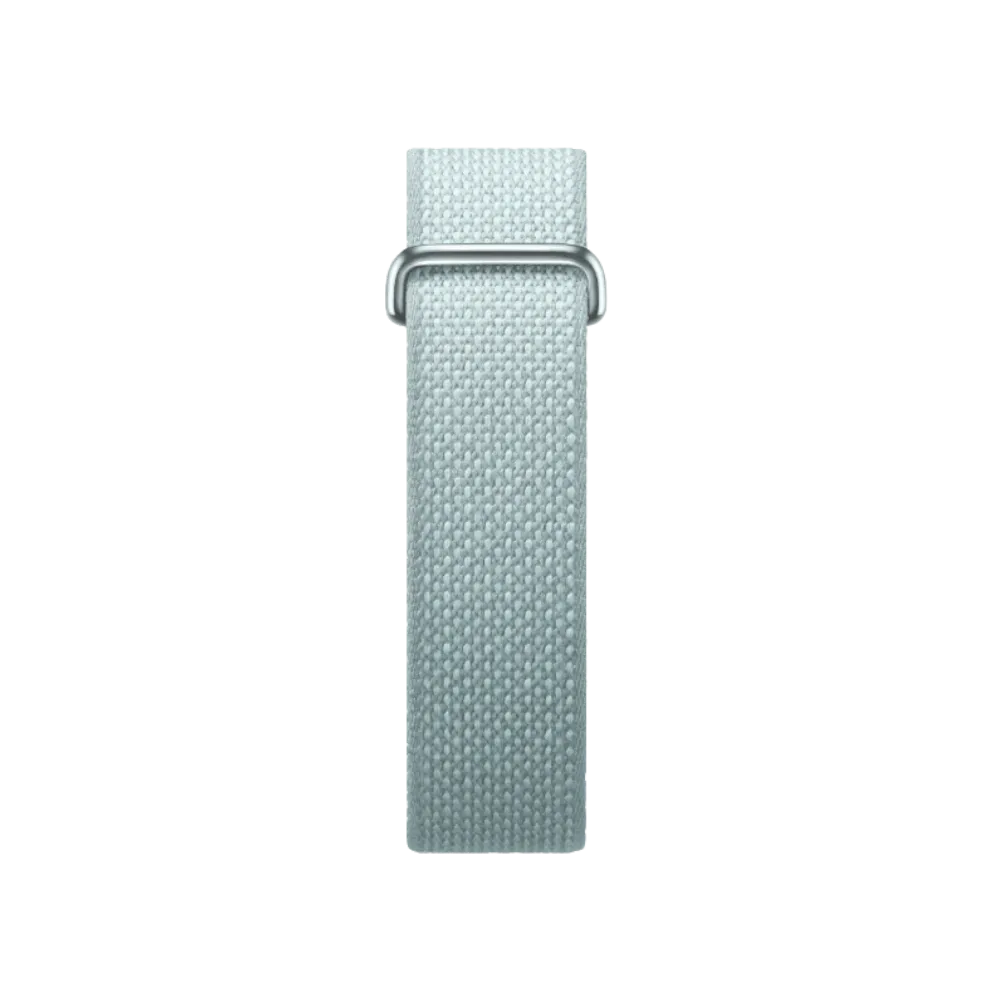 Google Fitbit Air "Fog"