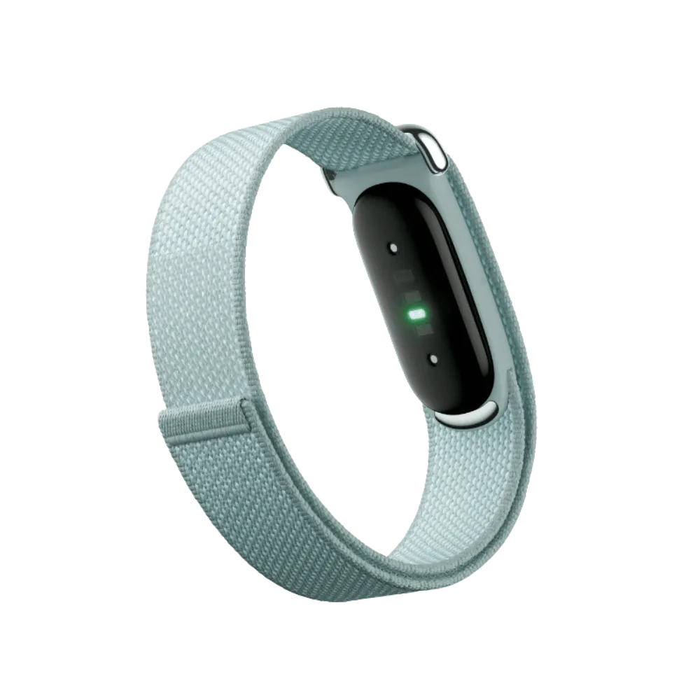 Google Fitbit Air "Fog"